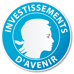 Investissement d'avenir